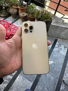 iphone 12 pro max PTA approved 9.5/10 waterpack