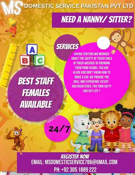 Babysitter, Patient Attendant, Nannys, Chef, Nurses, Domestic Staff 0