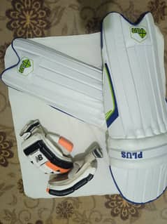 Lowest price cricket kit for professional cricketers
