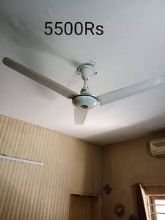 5 ceiling fans.  Contact only on the number: 03365403474