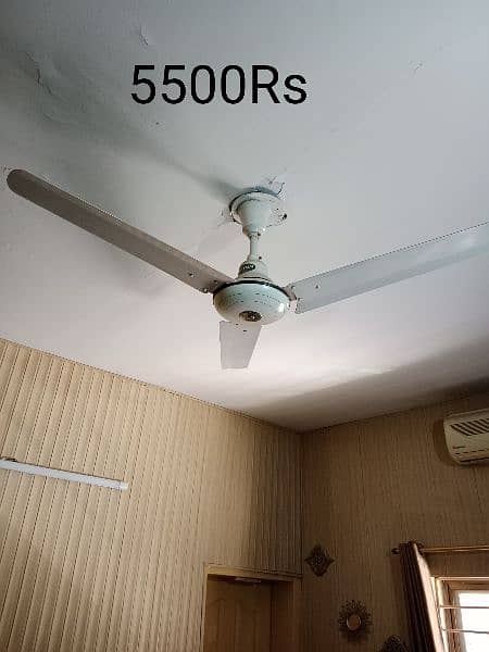 5 ceiling fans.  Contact only on the number: 03365403474 0