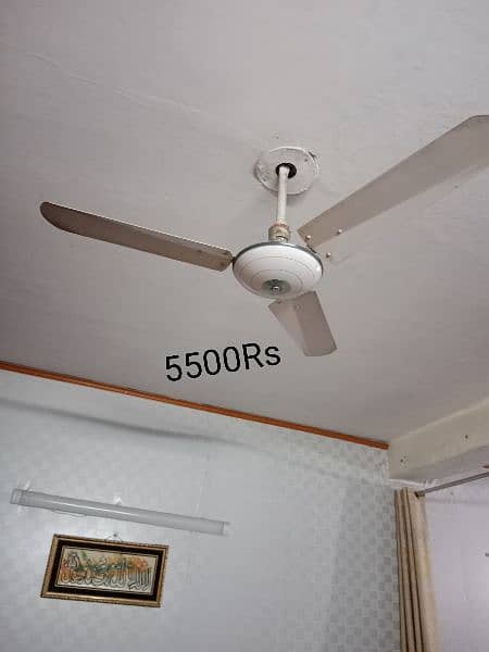 5 ceiling fans.  Contact only on the number: 03365403474 3