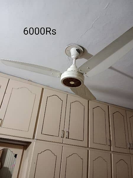 5 ceiling fans.  Contact only on the number: 03365403474 4