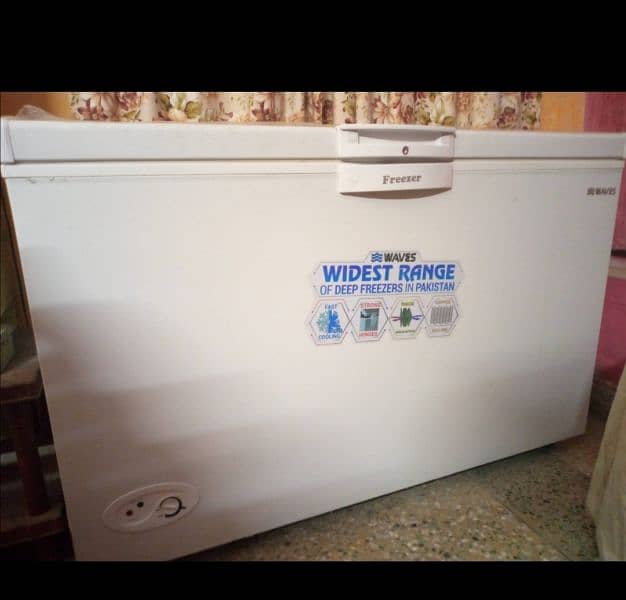 Freezer of Waves Company single door freezer, in good condition 1