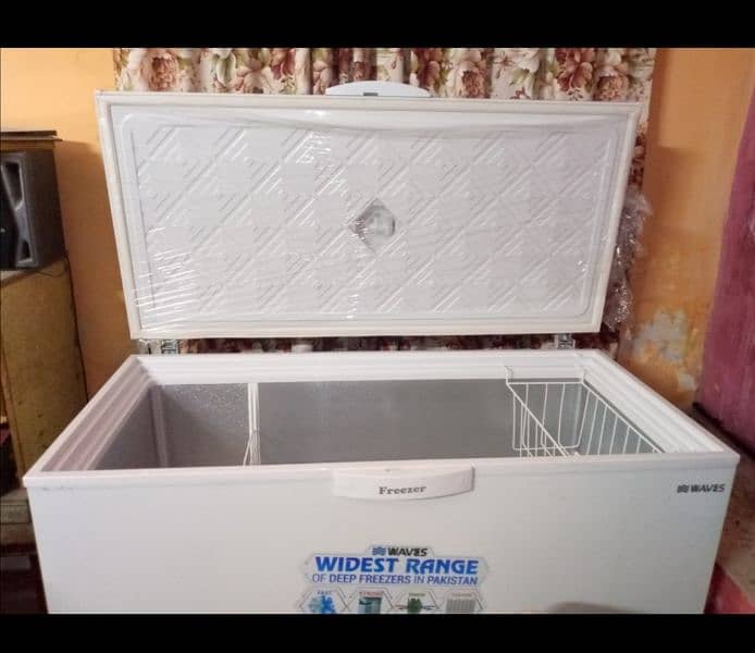 Freezer of Waves Company single door freezer, in good condition 4