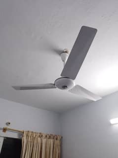 Selling Good Quality Fans