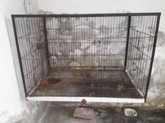 Iron Birds cage for sale 3'×2' 0