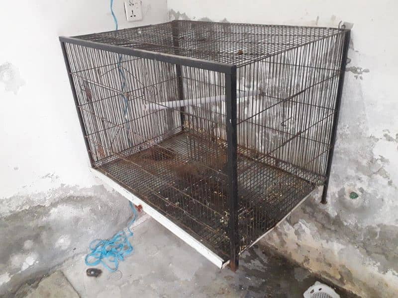 Iron Birds cage for sale 3'×2' 1