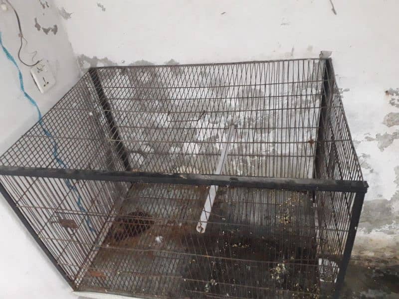 Iron Birds cage for sale 3'×2' 2