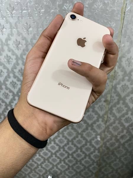 iPhone 11 PTA proved #03007907903 3