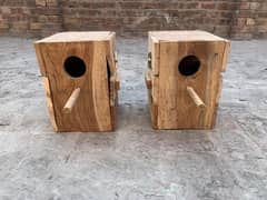 Birds Boxes