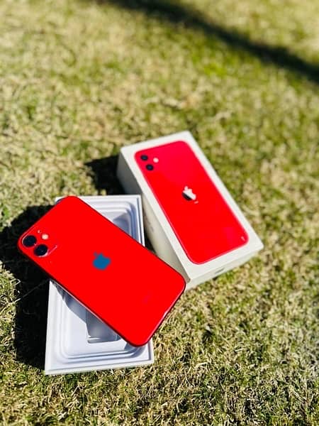 iPhone 11 pta approved physical dual 64 gb waterproof 10/10 1