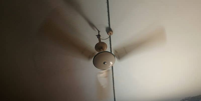 Apex Super Deluxe AC ceiling fan 48" 1