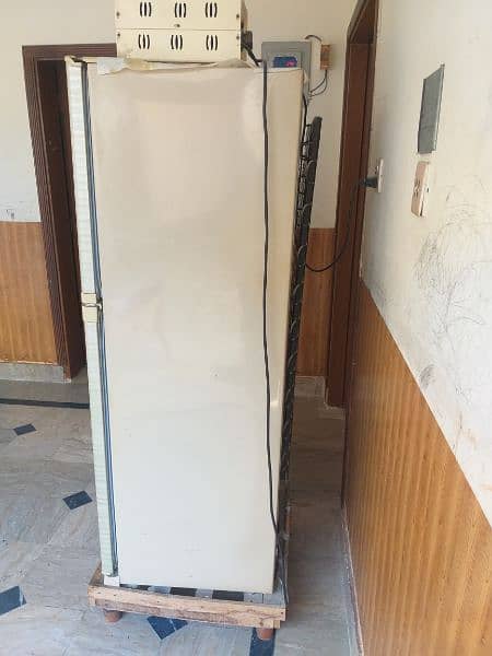 ORIENT Refrigerator Depalpur city Distt OKARA 5