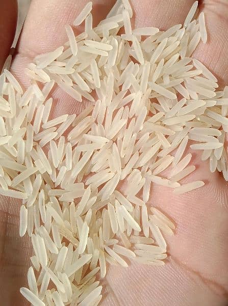 export quality kainat steam rice 03244385316 1