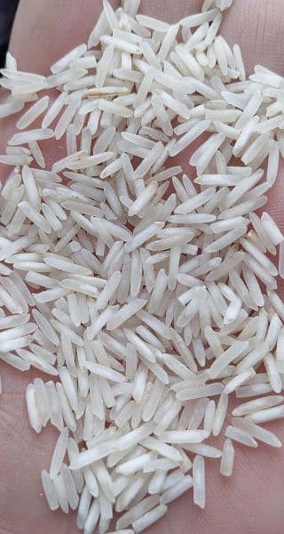 export quality kainat steam rice 03244385316 2