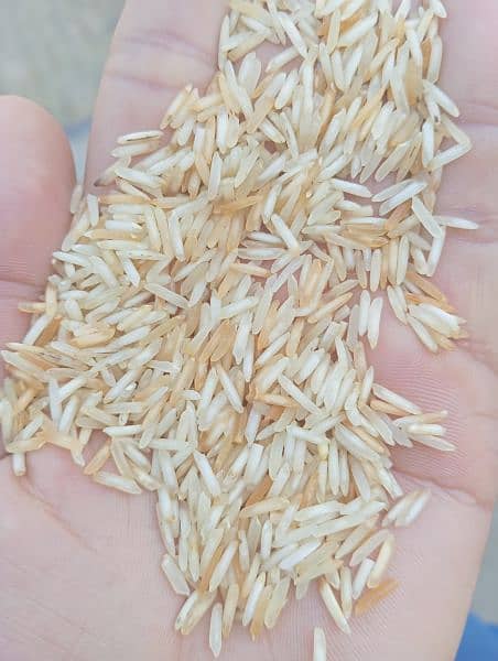 export quality kainat steam rice 03244385316 6
