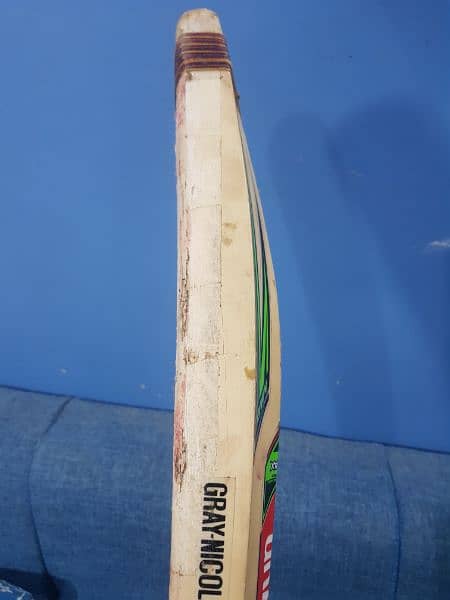 Grey Nicolls hard ball bat with great quality hard ball bat 4