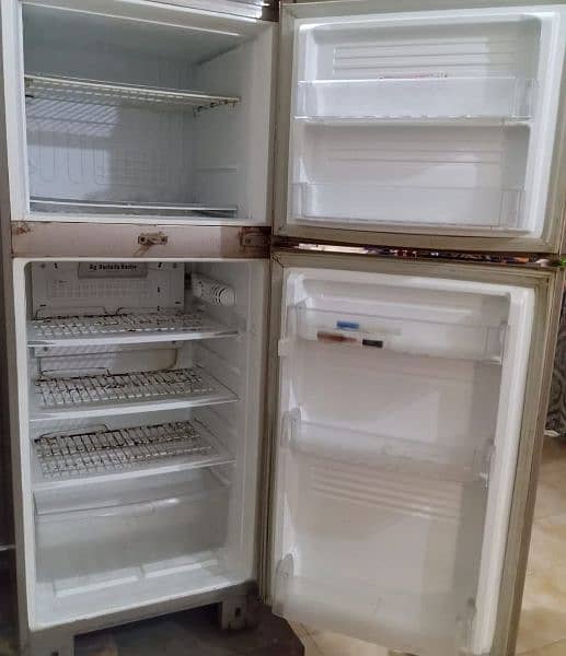 Pel Refrigerator 2