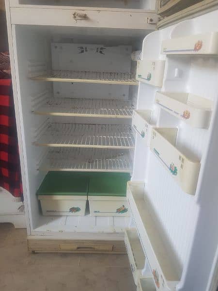 Pel Refrigerator 5