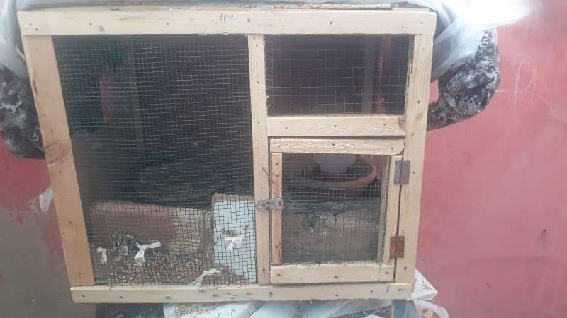 cage for sell 1