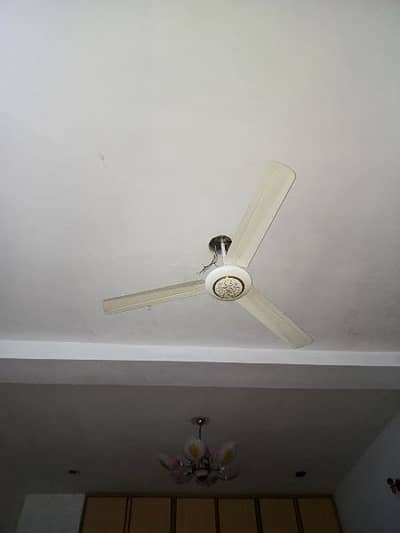 12 Volt DC Fan