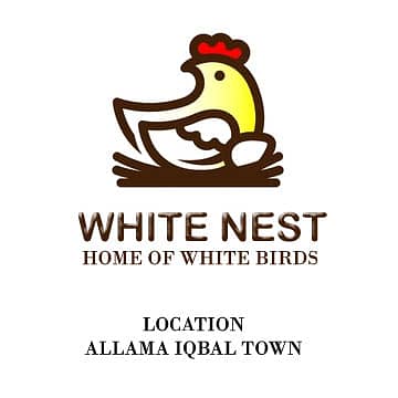 Mianwali Aseel Lakha Chicks chuze for sale,healthy active,fertile eggs 4