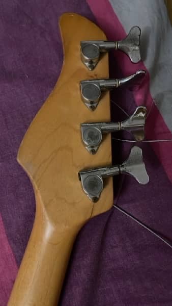 Fernandes Bass Guitar 5