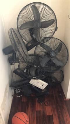 6 royal fans for sale 1 month used only 0