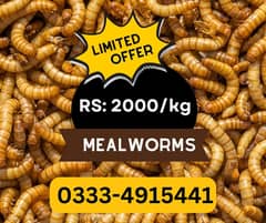Mealworms RS  2000/ Kg Offer 0