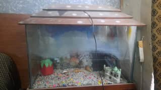 Larger size aquarium for sale with almost all required accessories