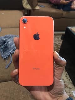 Iphone Xr PTA APPROVED in mint Condition