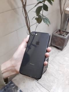 Iphone 7 (black)