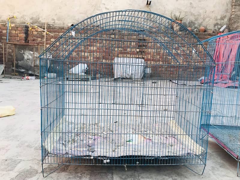 2 cages in good condition …For Sale steel cages for birds. . 6