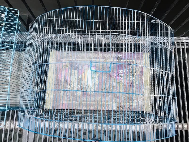 2 cages in good condition …For Sale steel cages for birds. . 10