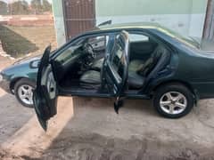Nissan Sunny Urgent Fore Sale