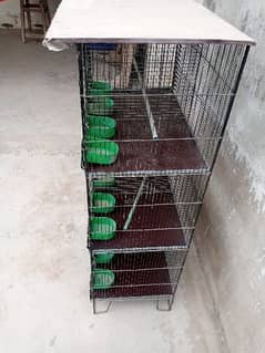 breeding|Cage 0