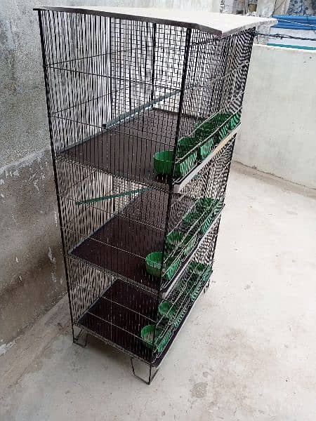 breeding|Cage 3