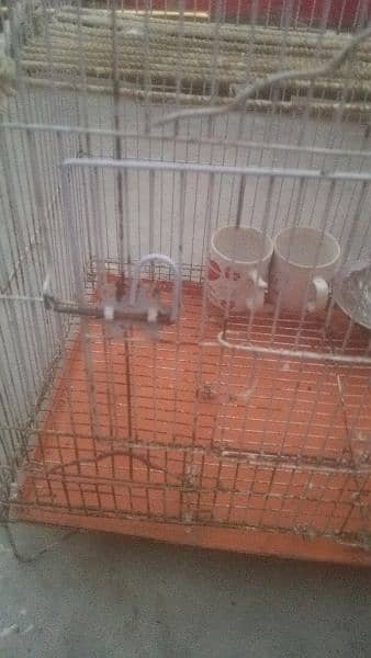 Cage Size 22 inch Urgent sell 6
