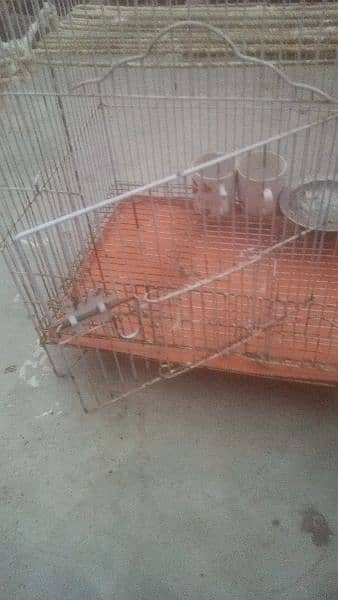 Cage Size 22 inch Urgent sell 7