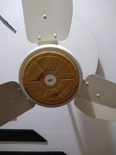Luxury SK Orignal Ceiling Fan 0