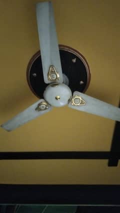 Fan and more things for restaurants