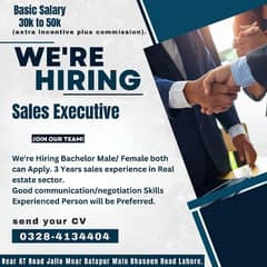 male / female staff  (real estate office) 0