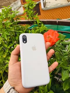 Iphone Xr 64gb Factory Unlocked For Sell