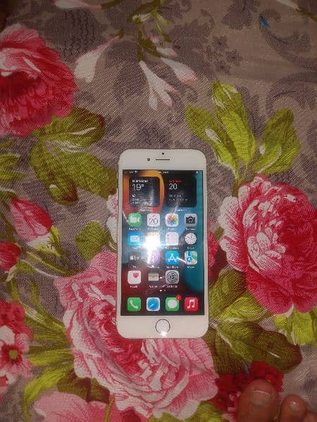 iPhone 6S 16GB PTA Approved 6