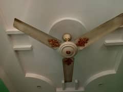 1 celling fans for sale on reasonable price - Royal Fan 0