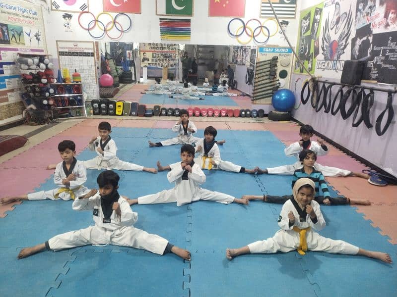 Taekwondo and physical fitness club 3