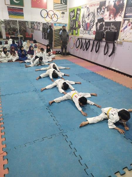 Taekwondo and physical fitness club 4