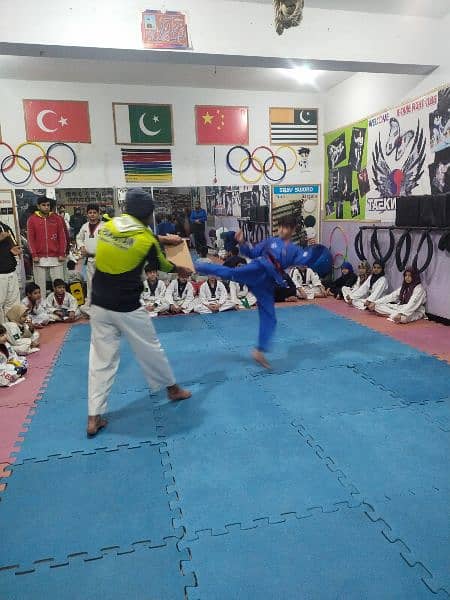 Taekwondo and physical fitness club 9