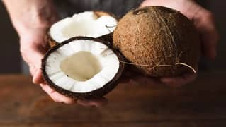 coconut 0